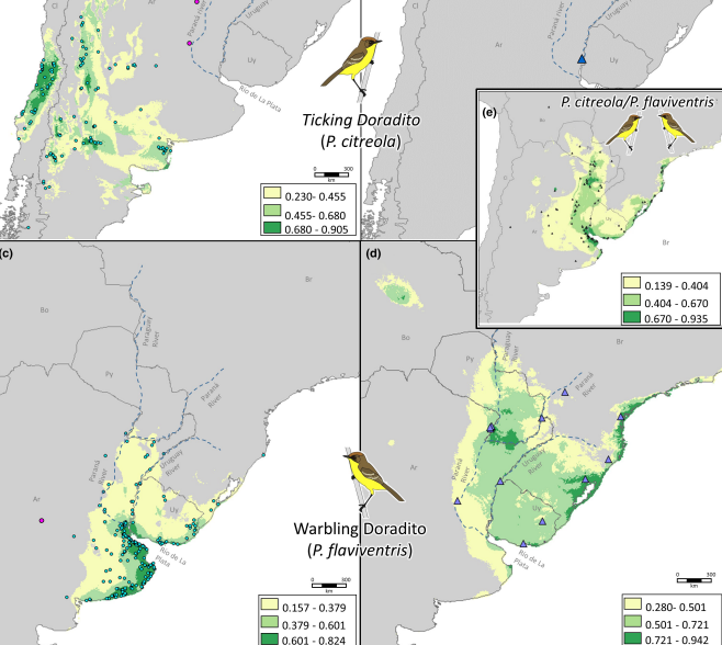 Implementación de sistemas automáticos de monitoreo sonoro
